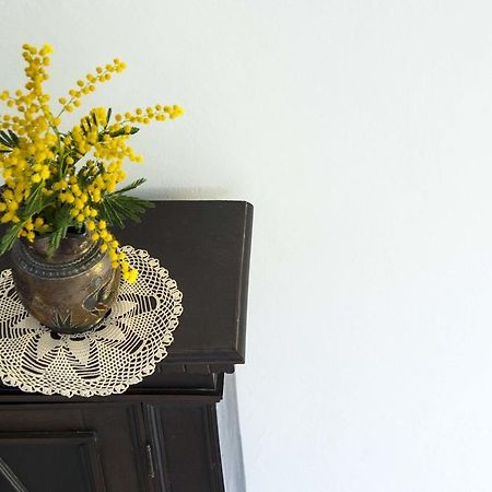 La Villa Nei Fiori Firenze Bagian luar foto