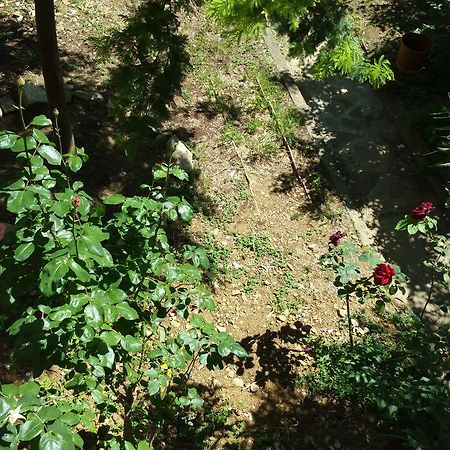 La Villa Nei Fiori Firenze Bagian luar foto