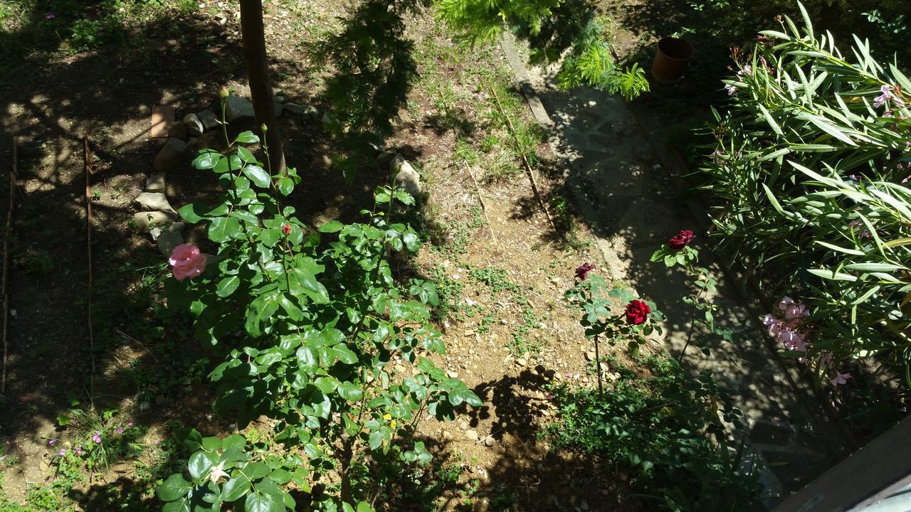 La Villa Nei Fiori Firenze Bagian luar foto